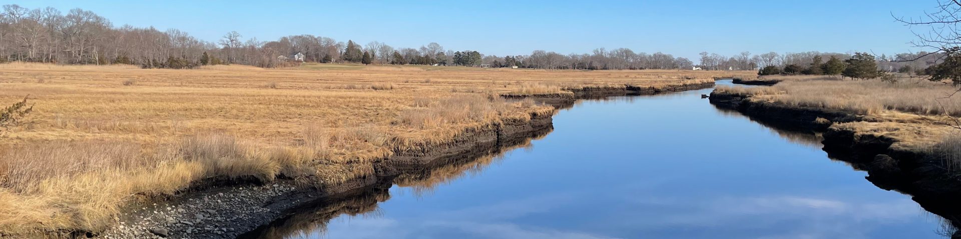 Center for Student Coastal Research