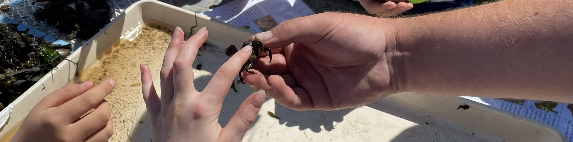 Center for Student Coastal Research